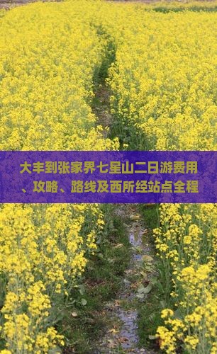 大丰到张家界七星山二日游费用、攻略、路线及西所经站点全程解析