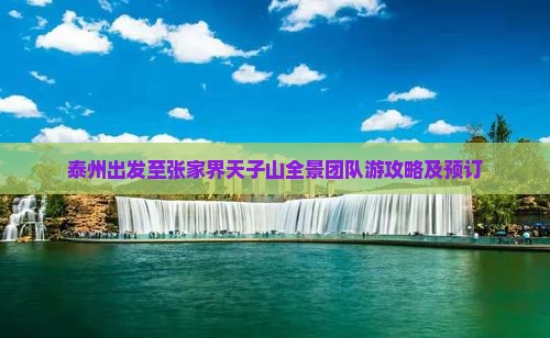 泰州出发至张家界天子山全景团队游攻略及预订