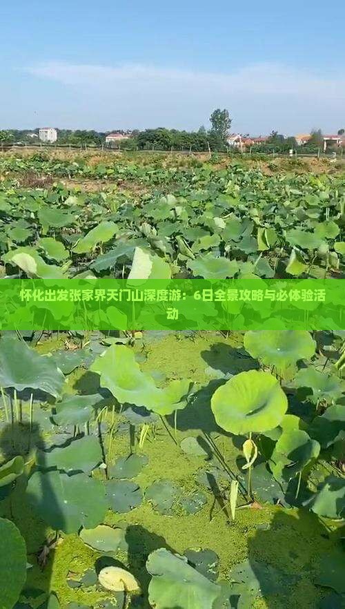 怀化出发张家界天门山深度游：6日全景攻略与必体验活动