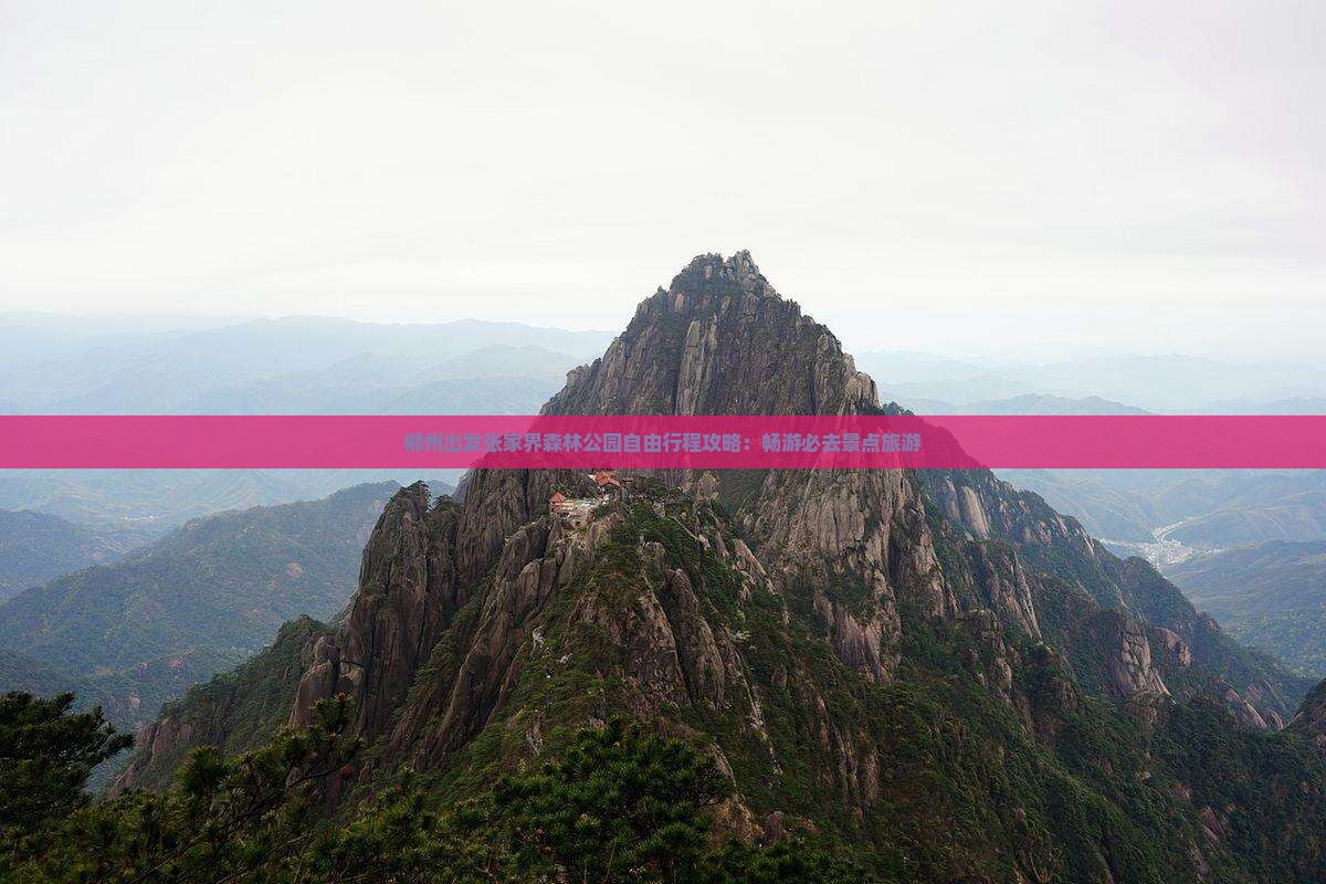 郴州出发张家界森林公园自由行程攻略：畅游必去景点旅游