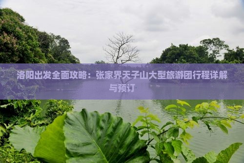 洛阳出发全面攻略：张家界天子山大型旅游团行程详解与预订