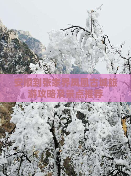 安顺到张家界凤凰古城旅游攻略及景点推荐