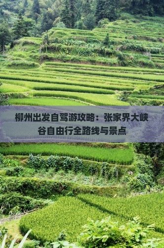 柳州出发自驾游攻略：张家界大峡谷自由行全路线与景点