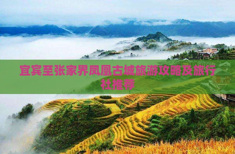 宜宾至张家界凤凰古城旅游攻略及旅行社推荐