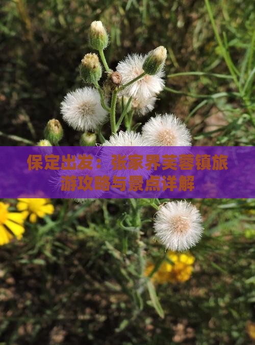 保定出发：张家界芙蓉镇旅游攻略与景点详解