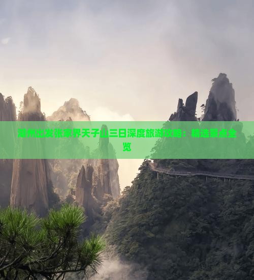 湖州出发张家界天子山三日深度旅游攻略：精选景点全览
