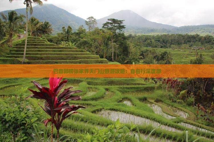 巴音郭楞张家界天门山旅游攻略：自由行深度游