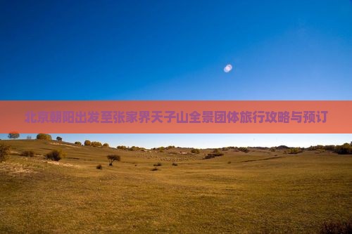 北京朝阳出发至张家界天子山全景团体旅行攻略与预订
