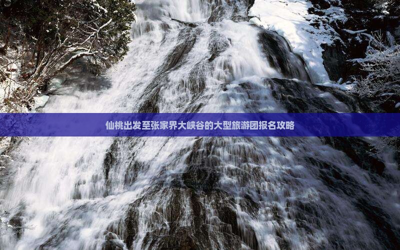仙桃出发至张家界大峡谷的大型旅游团报名攻略