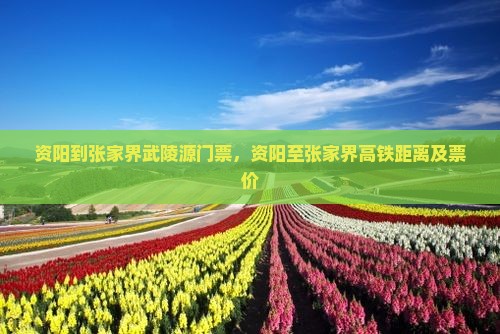 资阳到张家界武陵源门票，资阳至张家界高铁距离及票价