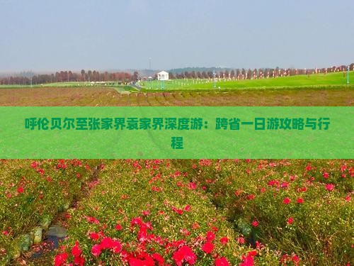 呼伦贝尔至张家界袁家界深度游：跨省一日游攻略与行程
