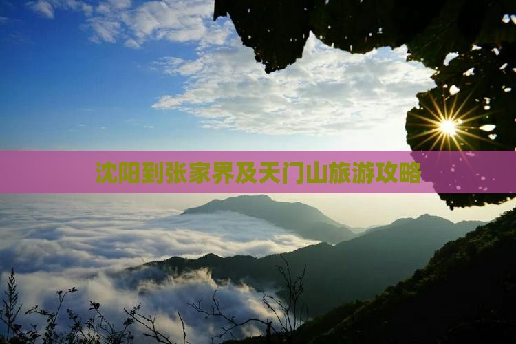沈阳到张家界及天门山旅游攻略