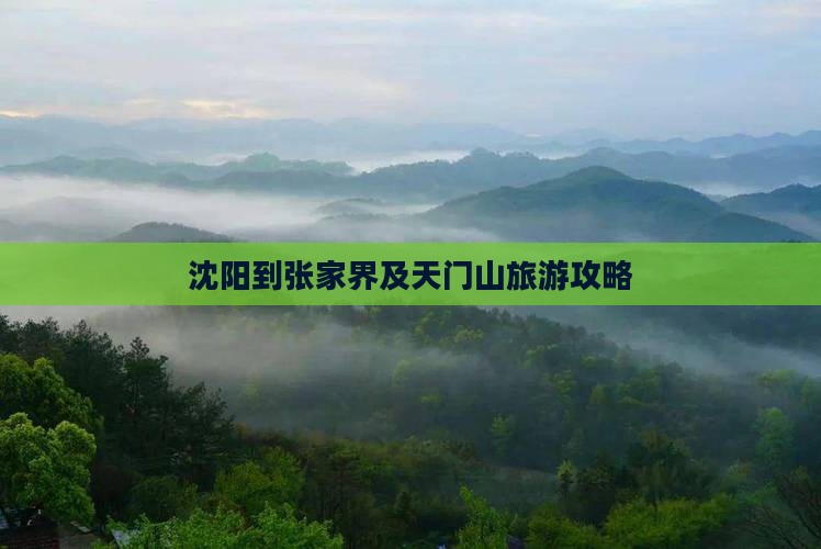 沈阳到张家界及天门山旅游攻略