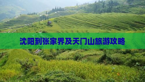 沈阳到张家界及天门山旅游攻略