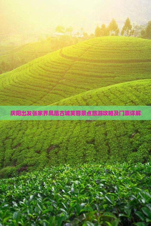 庆阳出发张家界凤凰古城芙蓉景点旅游攻略及门票详解