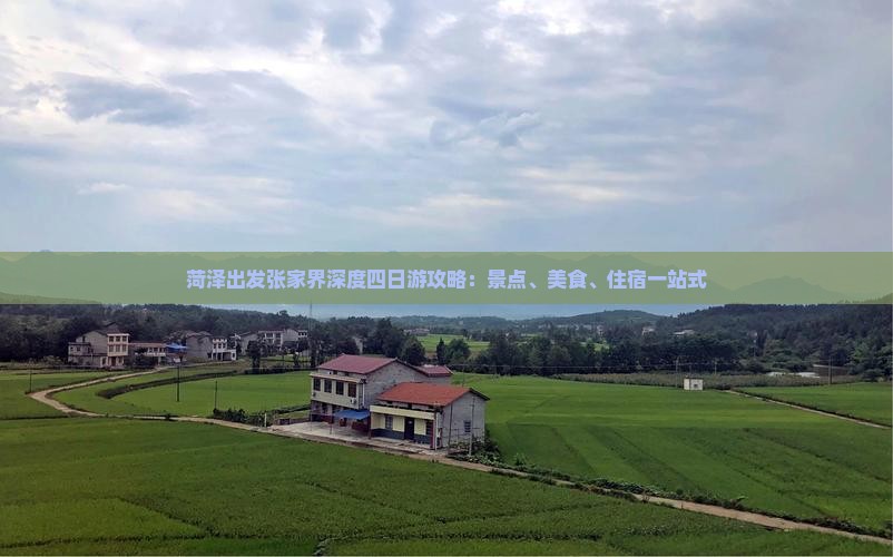 菏泽出发张家界深度四日游攻略：景点、美食、住宿一站式