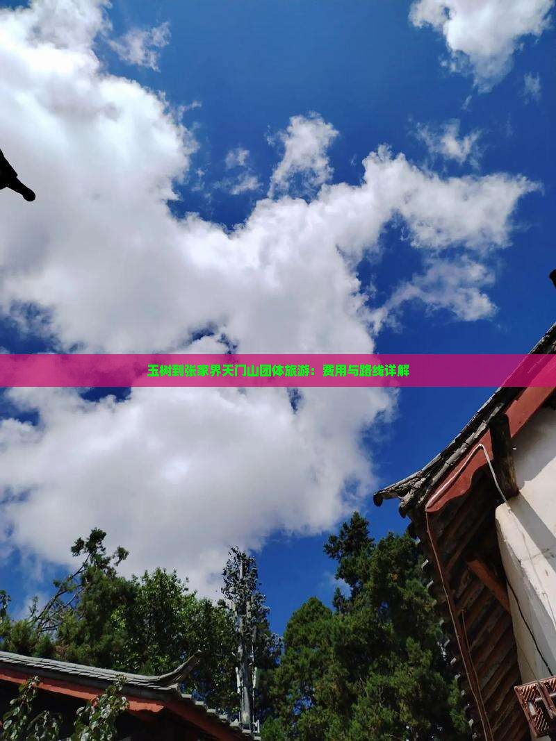 玉树到张家界天门山团体旅游：费用与路线详解