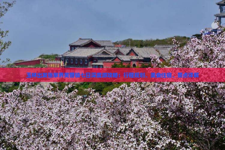 玉林出发张家界芙蓉镇七日深度游攻略：行程规划、美食住宿、景点详解