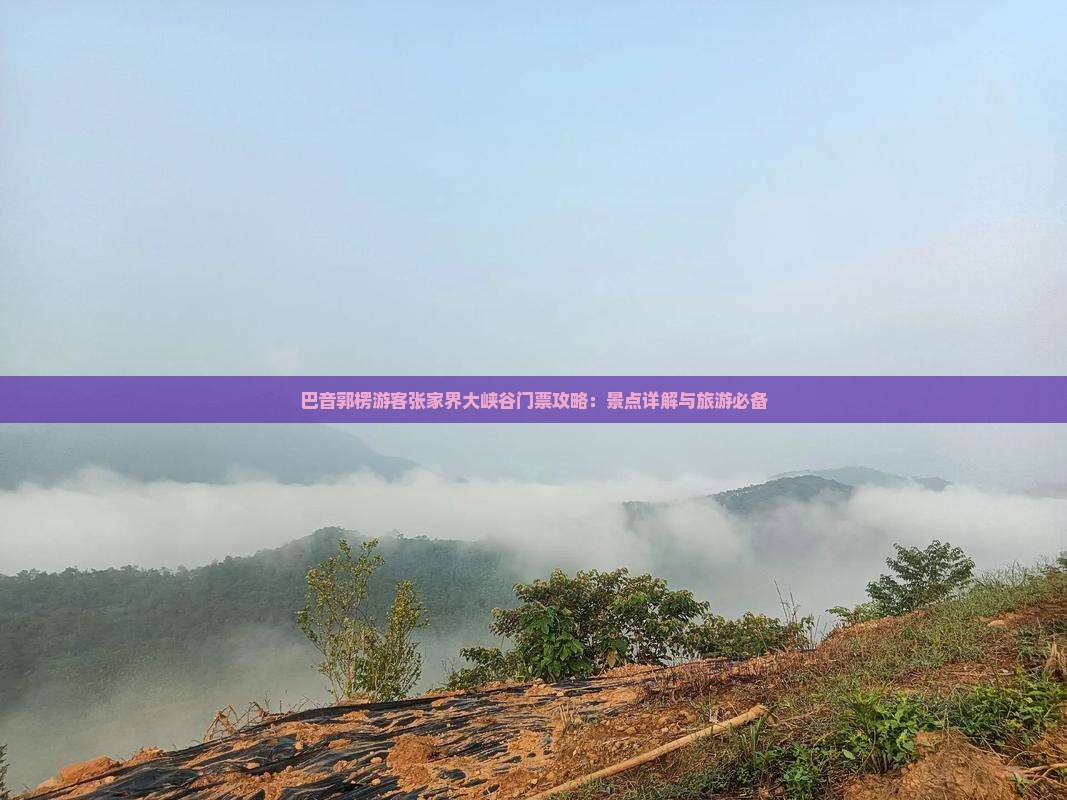 巴音郭楞游客张家界大峡谷门票攻略：景点详解与旅游必备