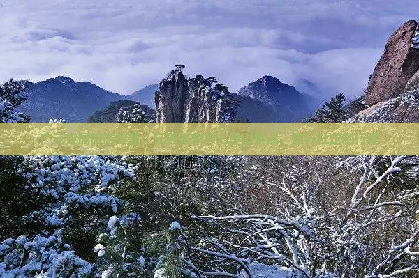 广元专属旅游专题：元到张家界七星山景点，旅行社定制行程
