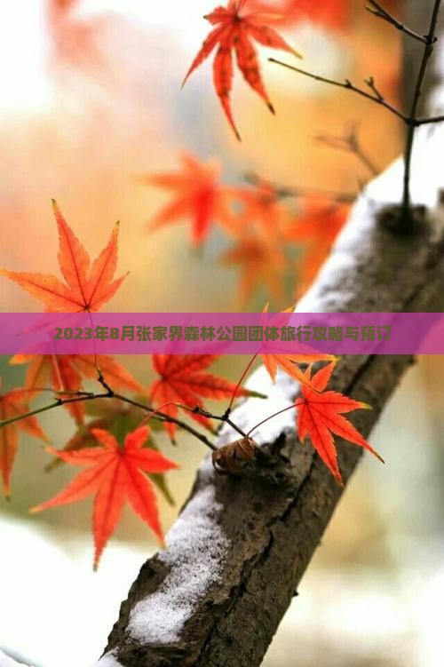 2023年8月张家界森林公园团体旅行攻略与预订