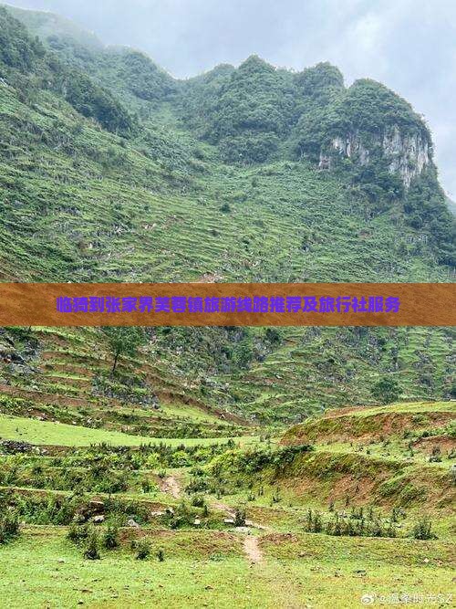 临猗到张家界芙蓉镇旅游线路推荐及旅行社服务