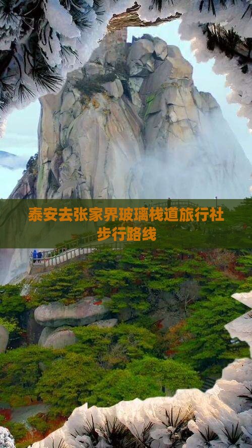 泰安去张家界玻璃栈道旅行社步行路线
