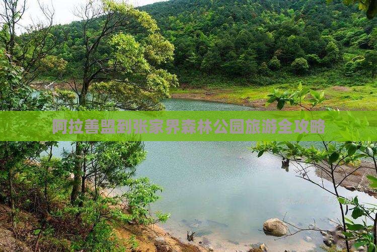 阿拉善盟到张家界森林公园旅游全攻略