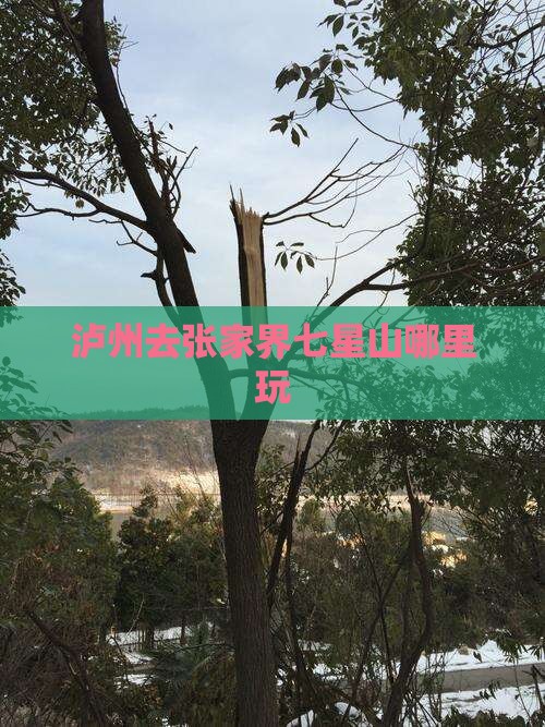 泸州去张家界七星山哪里玩