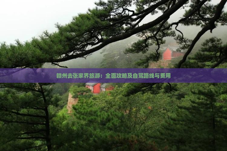 赣州去张家界旅游：全面攻略及自驾路线与费用