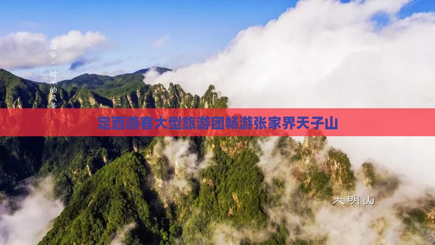定西游客大型旅游团畅游张家界天子山