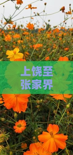 上饶至张家界旅游攻略：精选必游景点及路线
