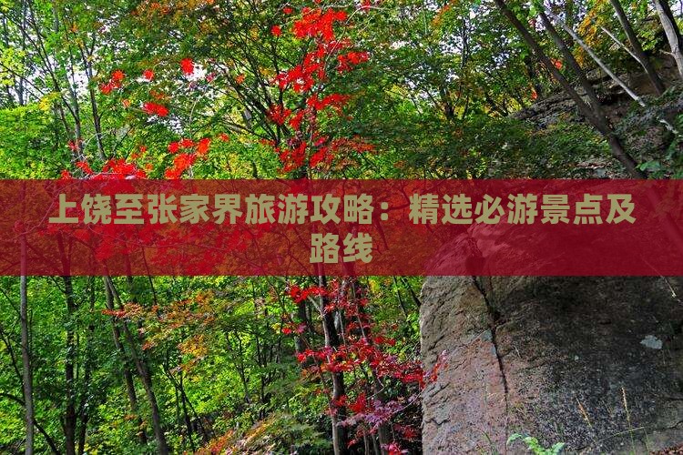 上饶至张家界旅游攻略：精选必游景点及路线