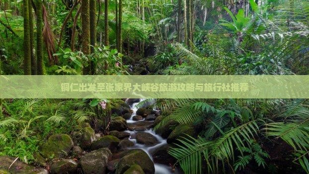 铜仁出发至张家界大峡谷旅游攻略与旅行社推荐