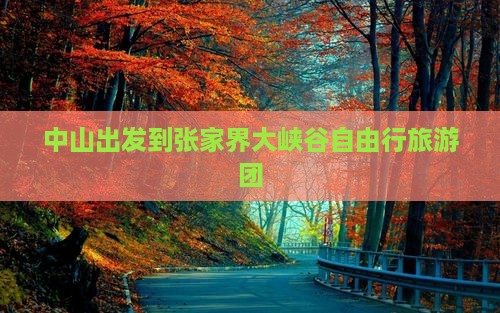 中山出发到张家界大峡谷自由行旅游团