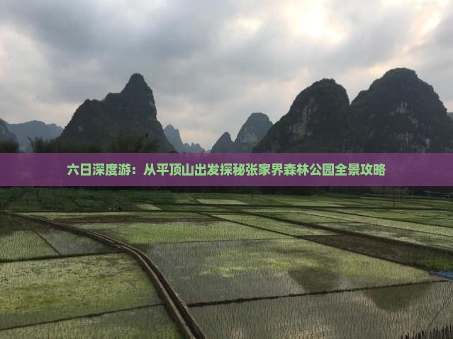 六日深度游：从平顶山出发探秘张家界森林公园全景攻略