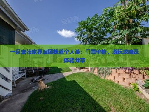 一月去张家界玻璃栈道个人游：门票价格、游玩攻略及体验分享