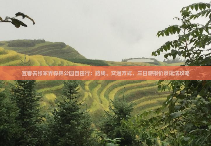 宜春去张家界森林公园自由行：路线、交通方式、三日游报价及玩法攻略