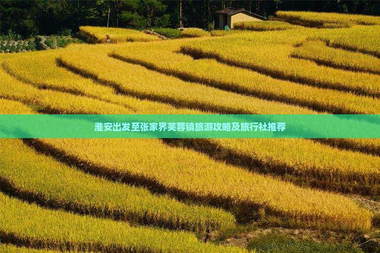 淮安出发至张家界芙蓉镇旅游攻略及旅行社推荐