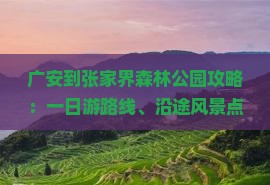 广安到张家界森林公园攻略：一日游路线、沿途风景点及自驾游详细行程