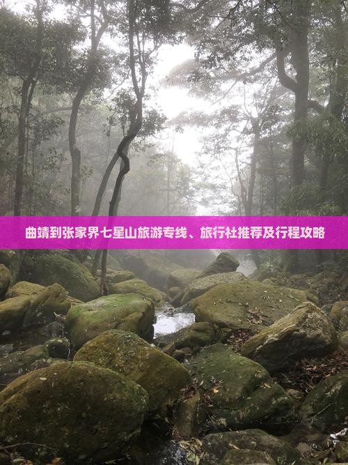 曲靖到张家界七星山旅游专线、旅行社推荐及行程攻略