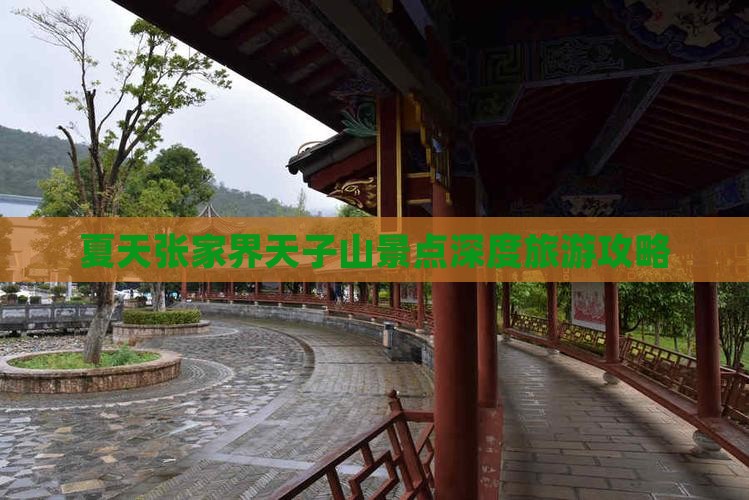 夏天张家界天子山景点深度旅游攻略