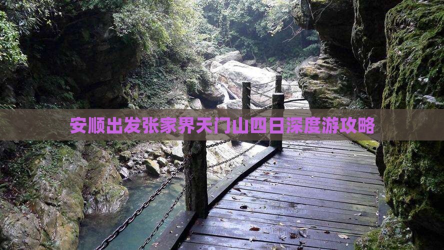 安顺出发张家界天门山四日深度游攻略