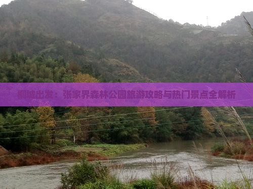 桐城出发：张家界森林公园旅游攻略与热门景点全解析