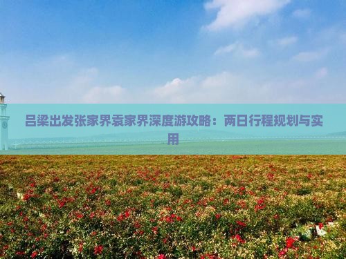 吕梁出发张家界袁家界深度游攻略：两日行程规划与实用