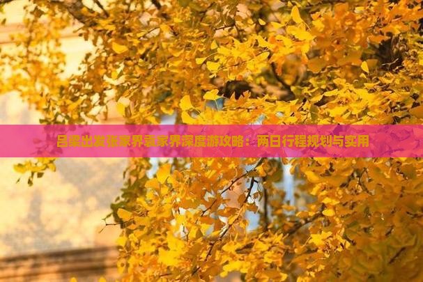 吕梁出发张家界袁家界深度游攻略：两日行程规划与实用