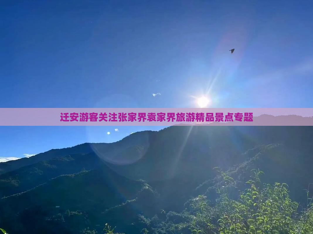 迁安游客关注张家界袁家界旅游精品景点专题