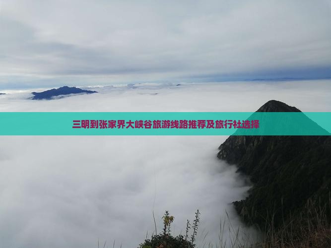 三明到张家界大峡谷旅游线路推荐及旅行社选择