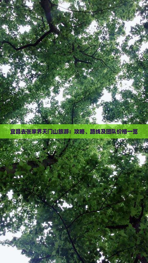 宜昌去张家界天门山旅游：攻略、路线及团队价格一览