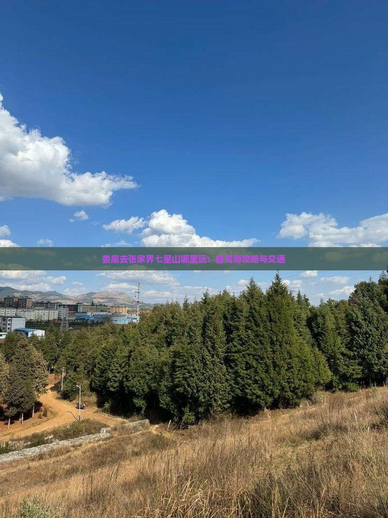 娄底去张家界七星山哪里玩：自驾游攻略与交通